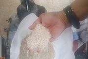 Pemkab Agam cek kualitas beras bantuan Bapenas sebelum disalurkan