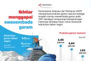 Ikhtiar menggapai swasembada garam nasional