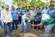Pemprov Papua Barat targetkan penanaman satu juta pohon Matoa