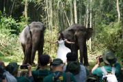 IAPVC 2026 buka kompetisi fotografi dan video satwa bagi masyarakat