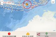 Dampak gempa M7,7 di NTT, BNPB minta masyarakat tetap tenang