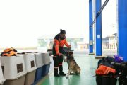Gempa NTT, Polri kirim tim SAR dan K-9 bantu cari korban
