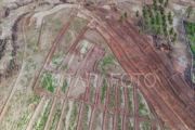 2.000 Manusia Perahu Diselamatkan RI Dan Malaysia