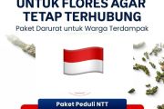 Telkomsel pulihkan layanan jaringan pascagempa di NTT