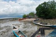 50 KK di Selayar masih bertahan di pengungsian akibat trauma gempa NTT