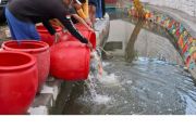 Dinas Perikanan Kota Mataram lepas 3.000 bibit ikan