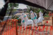 Wabah Ebola di RD Kongo meningkat hingga tembus 7.258 kasus