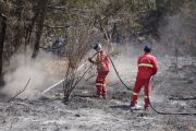 Kemenhut lakukan pendinginan karhutla Bromo pastikan tak ada bara api