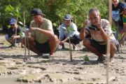 HUT ke-81 RI, KKP tanam 5.000 bibit mangrove di Rote Ndao NTT