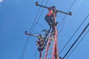 PLN tuntaskan pemulihan sistem kelistrikan Flores pascagempa
