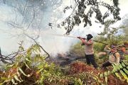 Tim gabungan padamkan karhutla 10 hektare di habitat harimau di Riau