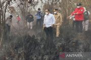 767 titik panas terdeteksi di Kalteng, tertinggi di Kalimantan
