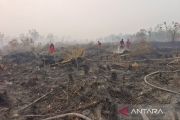 Sebanyak 12 orang jadi tersangka karhutla di Kalteng