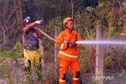 BPBD: Penegakan hukum larangan pembakaran lahan sangat krusial