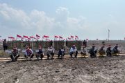Perkuat Sinergi untuk Pesisir: M4CR dan Polda Riau Tanam Mangrove di Kuala Selat