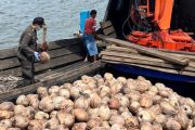 Karantina Kepri libatkan desa awasi lalu lintas komoditas hewan dan tumbuhan di Natuna