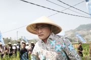 4.000 guru honorer segera peroleh data pokok pendidikan