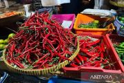 PIHPS catat harga cabai rawit merah Rp52.750 per kg