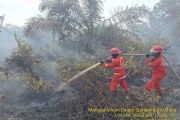 Manggala Agni tangani karhutla 115 hektare di Musi Banyuasin