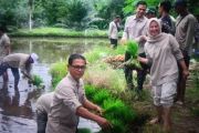 Pemkab Pasaman Barat salurkan dana desa Rp15,5 miliar ke 90 nagari