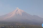 Mount Semeru erupts, ash column reaches 800 meters