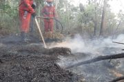 Pemerintah Perkuat Penanganan Karhutla di Kalimantan: Kerahkan 12.880 personel hingga Buat Sumur Bor
