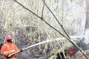 Karhutla di Desa Tanjung Raya OKU Selatan sudah padam
