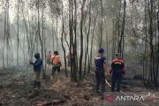 Satgas padamkan karhutla di Sungai Rotan Muara Enim dari jalur udara