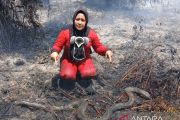 Satwa semakin terancam akibat karhutla di Kalbar