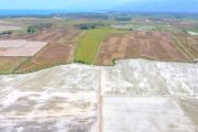 1.400 Ha lahan pertanian di Parimo terdampak kekeringan