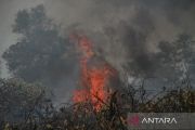 Indonesian police step up crackdown on forest, land fires
