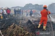 Wamenko Pangan tinjau karhutla di Kalteng tegaskan kehadiran pemerintah