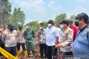 85 ribu hektare wilayah konsesi terbakar di Indonesia