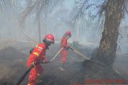 Satgas Karhutla Jambi berjibaku padamkan areal gambut Desa Muntialo