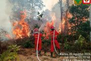 Enam Provinsi di Kalimantan dan Sumatera Jadi Prioritas Penanganan Karhutla