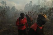 Wagub Lampung senut water bombing dioperasikan Minggu atasi karhutla TNWK
