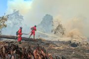Manggala Agni masih berjibaku padamkan karhutla ratusan hektar di Kerumutan dan Sungai Guntung Hilir