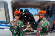 TNI AU dan BNPB evakuasi korban gempa di NTT gunakan helikopter