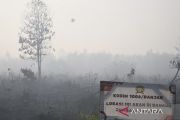 BMKG: 696 hotspot karhutla muncul di Kalsel pada Minggu