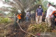 Wamen LH : solusi penanganan Karhutla perlu kolaborasi semua pihak