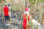 Indonesia steps up peatland wetting to fight South Kalimantan fires