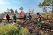 Kemenhut: Api di TN Way Kambas padam, seluruh gajah terpantau aman