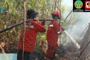 Balai Dalkarhut Sumatra kerahkan BKO karhutla ke Sumsel