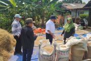 Kementan perkuat modernisasi pertanian di Kapuas melalui pembangunan MRU