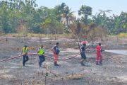 Kebakaran lahan sekitar Bandara Frans Kaisepo Biak telah padam