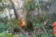 Kabupaten Sigi larang warga buka lahan dengan cara dibakar