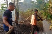BPBD padamkan karhutla di lima lokasi Kabupaten Ogan Komering Ulu