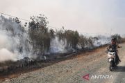 Pakar: Kabut asap pembunuh diam-diam yang merenggut nyawa