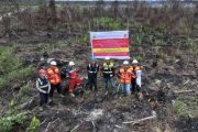 Kemenhut selidiki dugaan pidana di balik karhutla sejumlah wilayah