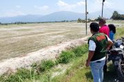 BPBD Parimo usul pengadaan sumur bor ke BNPB untuk atasi kekeringan